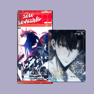 Solo Leveling Display KOR