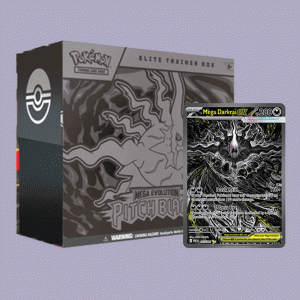Dunkelnacht Top Trainer Box DE